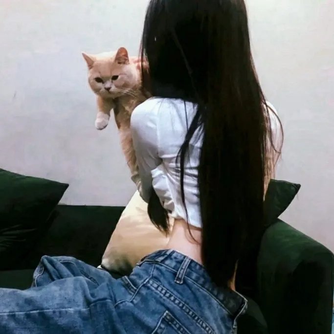 双截龙
